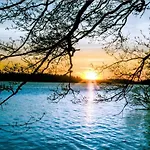 Close To The Metro And The Beach!!! With A View Of The Scandinavian Forest