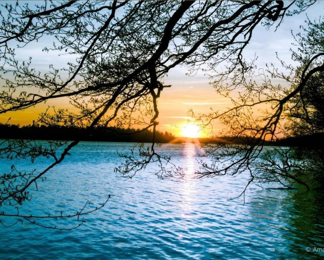Close To The Metro And The Beach!!! With A View Of The Scandinavian Forest Appartement *